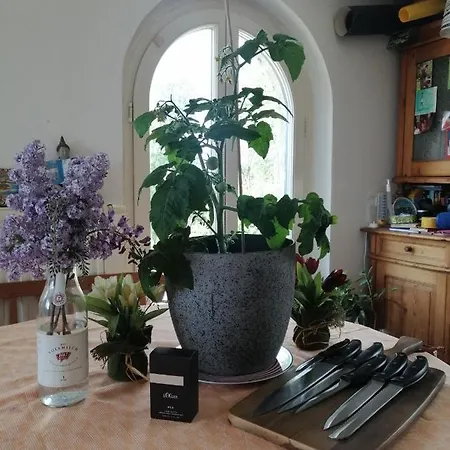 아파트 Strailhofer Weg Ferienwohnung *
